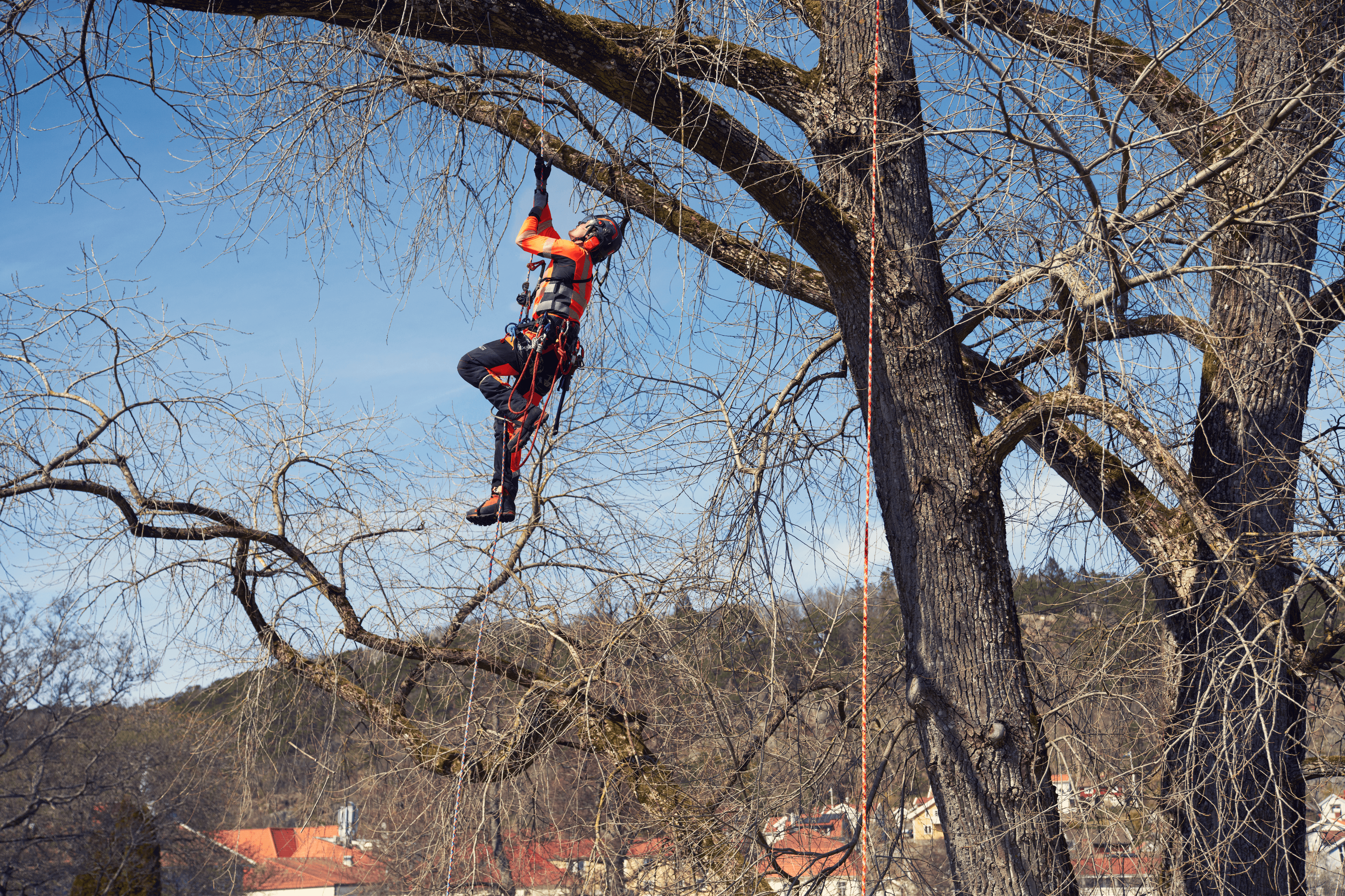 Climbing rope Ascend 11.0 mm image 1