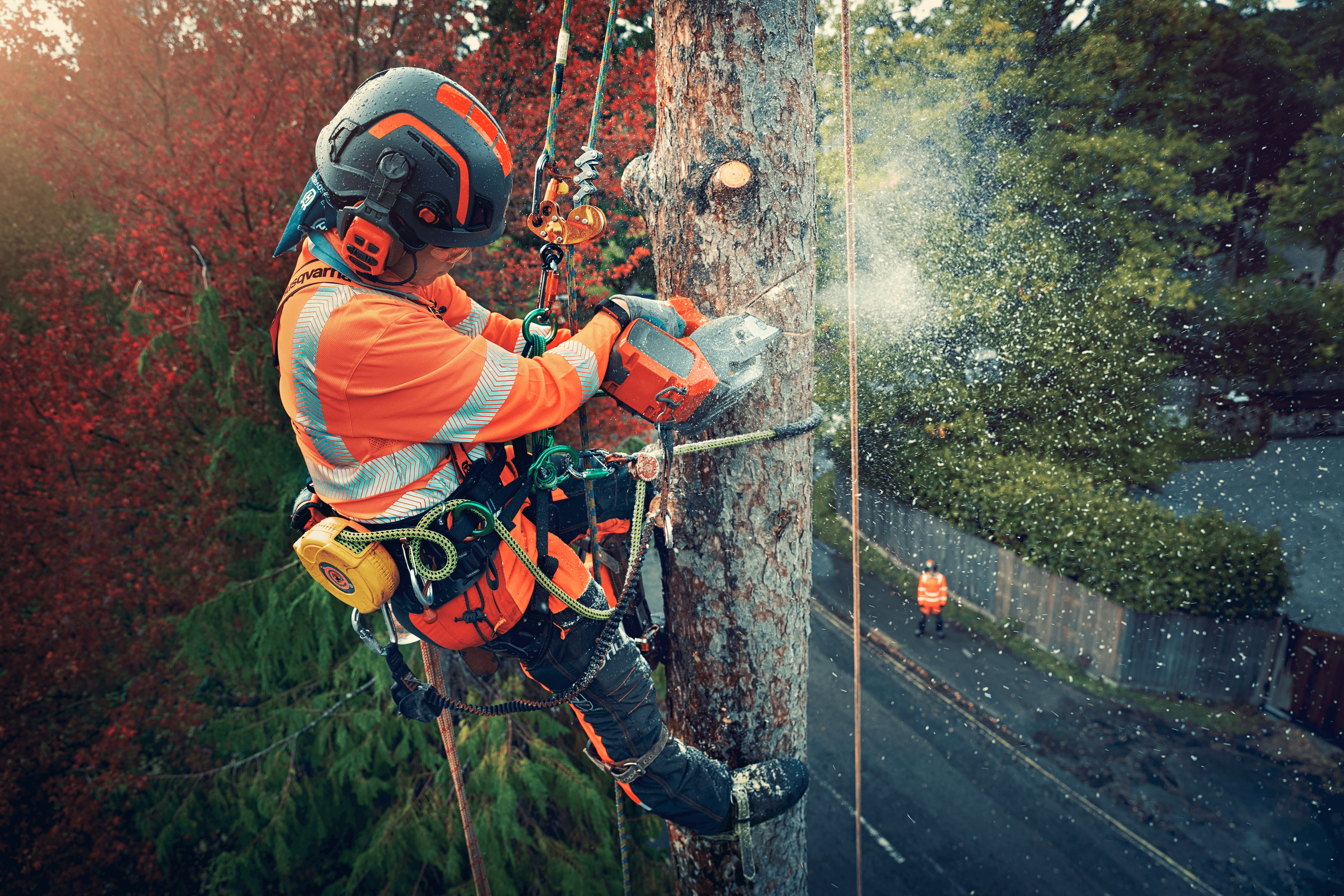 Spire™ Vent Arborist Helmet image 2